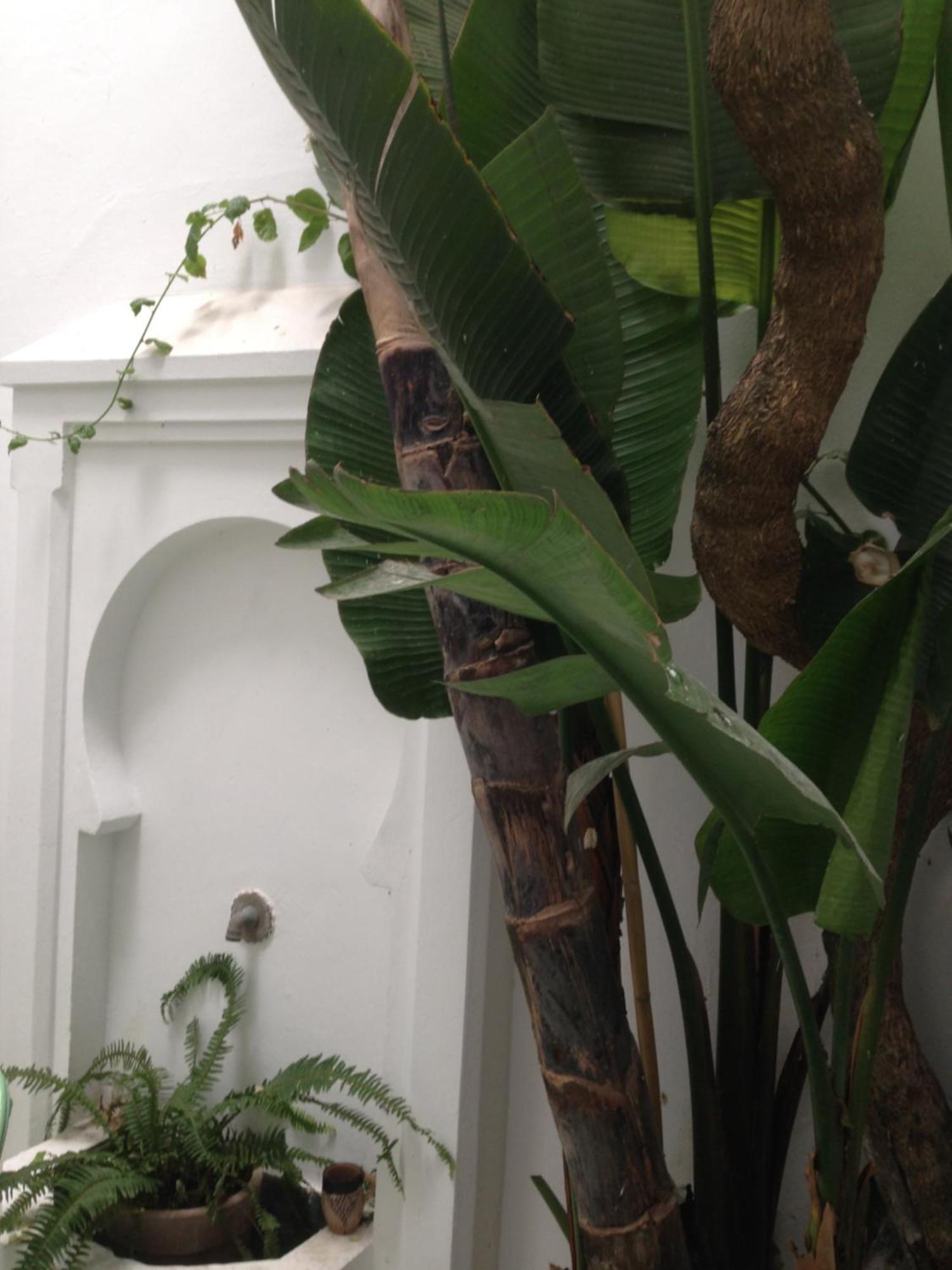 Casabonita Villa อซิลาห์ ภายนอก รูปภาพ