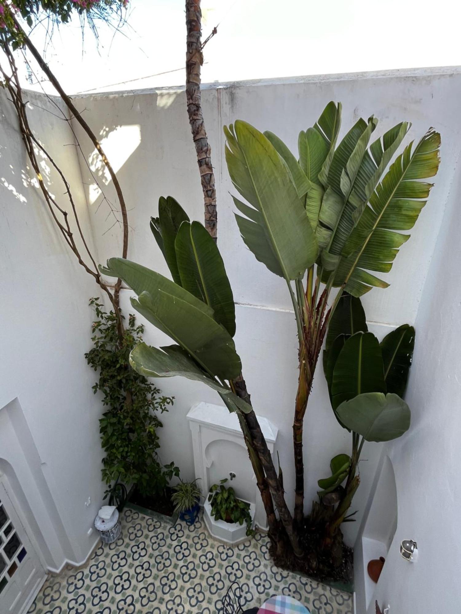 Casabonita Villa อซิลาห์ ห้อง รูปภาพ